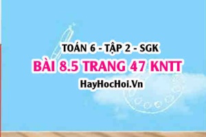 Bài 8.5 trang 47 Toán 6 Tập 2 Kết nối tri thức